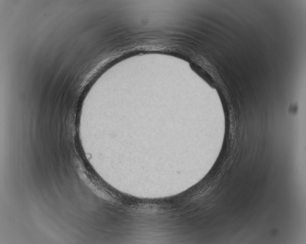 X0000114630530200912011027