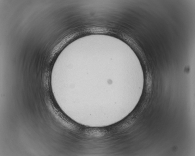 X0000114630533200912011027