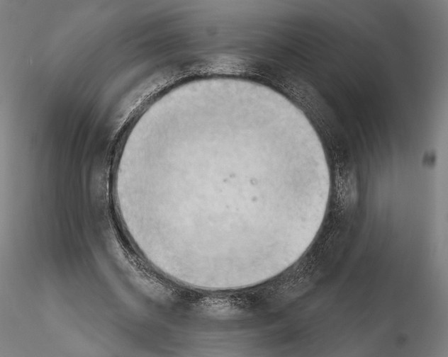 X0000114630534200912011027