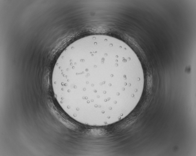 X0000114630541200912011027