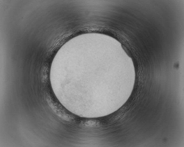 X0000114630546200912011027