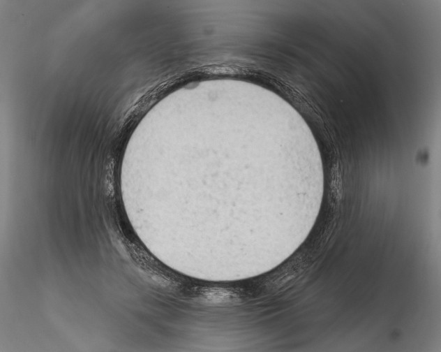 X0000114630547200912011027