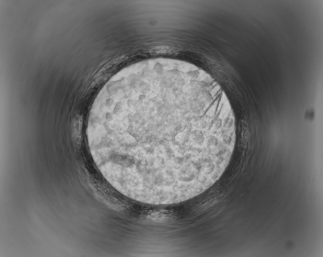 X0000114630550200912011027