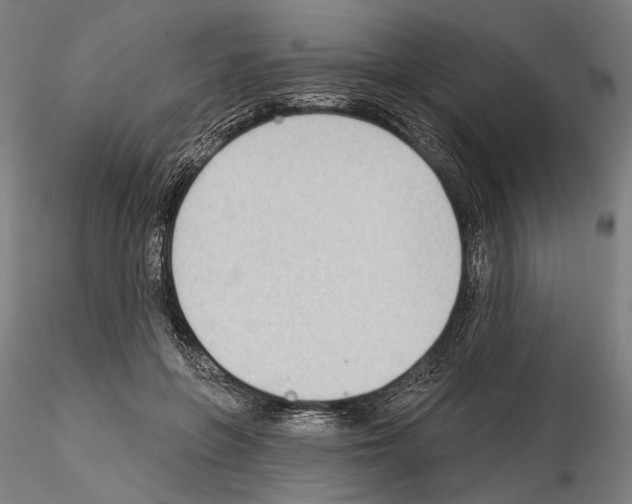 X0000114630551200912011027