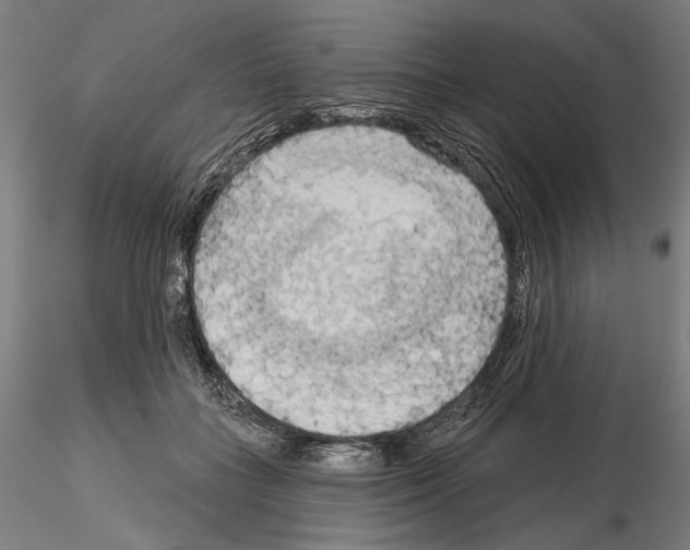 X0000114630555200912011027