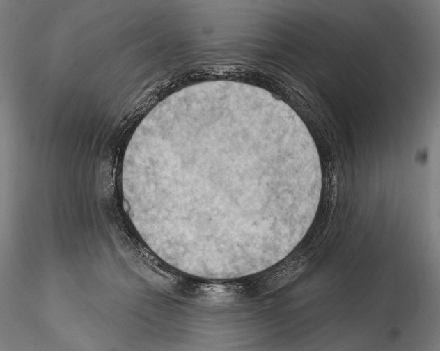 X0000114630558200912011027