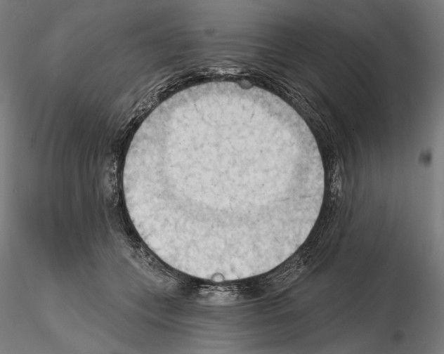 X0000114630559200912011027