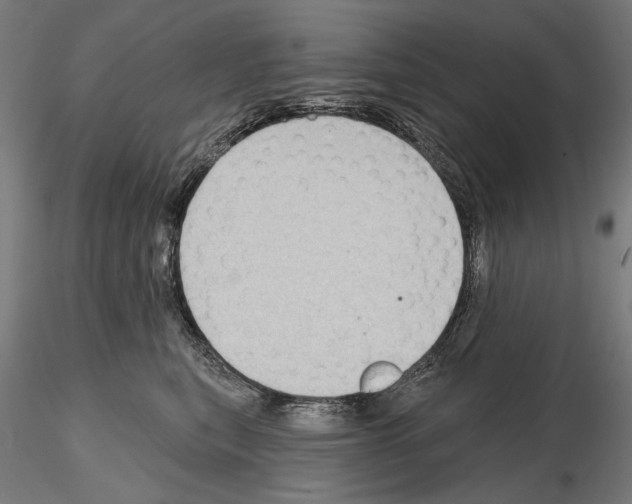 X0000114630567200912011027