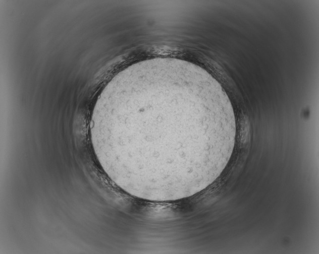 X0000114630569200912011027