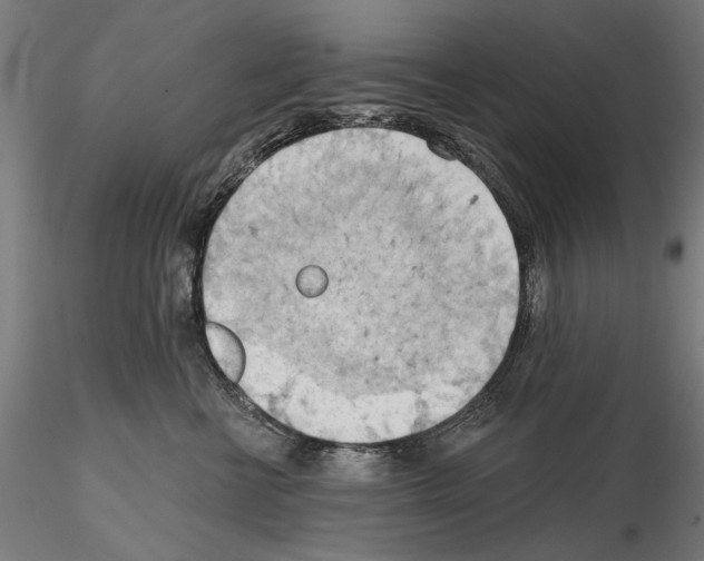 X0000114630570200912011027