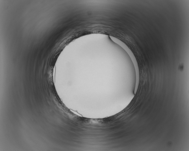 X0000114630573200912011027