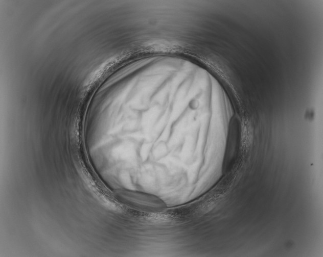 X0000114630581200912011027