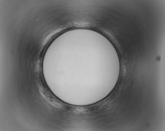 X0000114630583200912011027