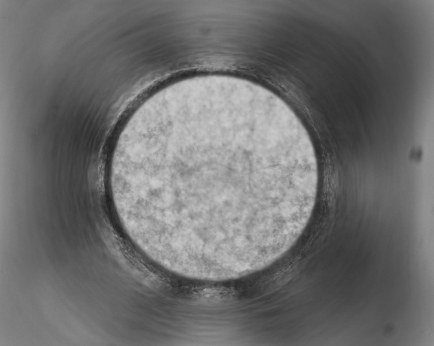 X0000114630584200912011027