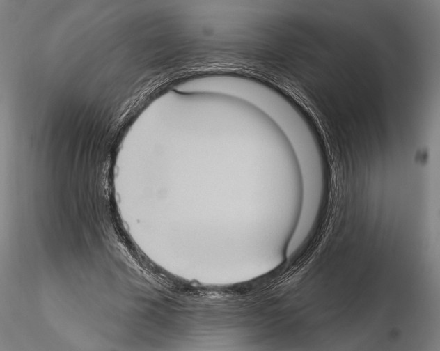 X0000114630585200912011027