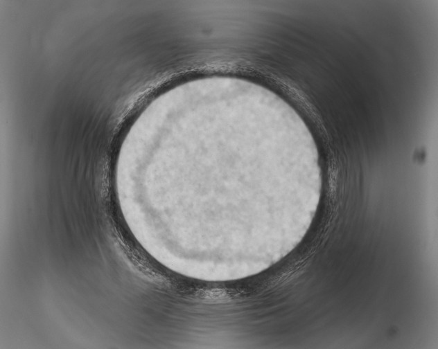 X0000114630588200912011027