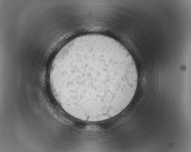 X0000114630591200912011027