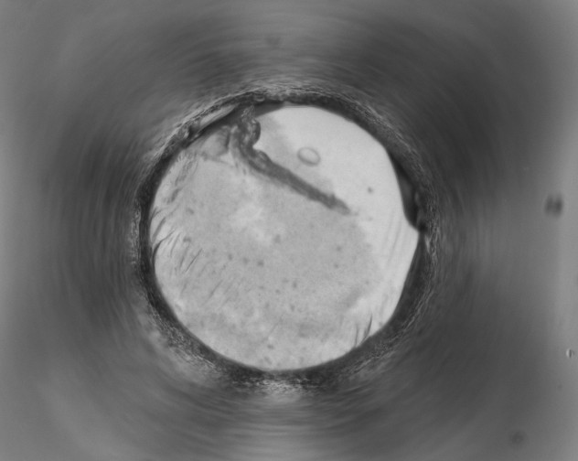 X0000114630592200912011027