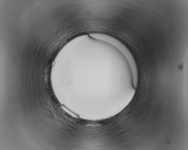 X0000114630595200912011027