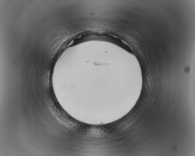 X0000114630596200912011027