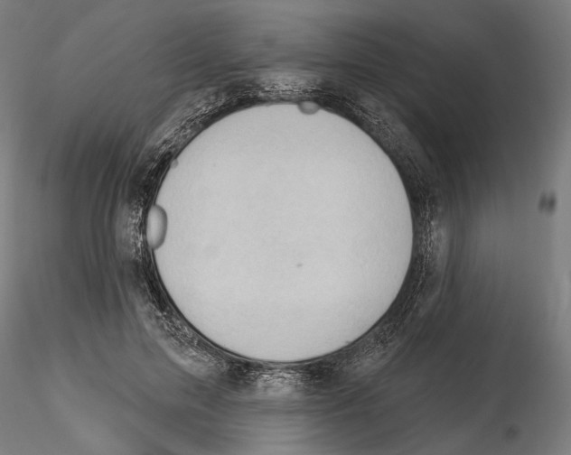 X0000114630599200912011027