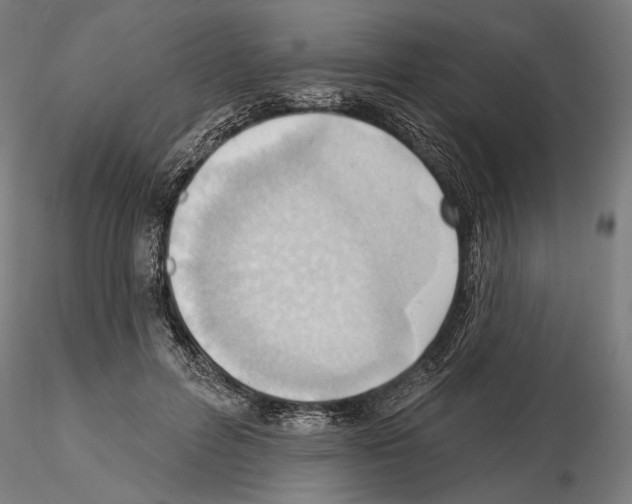 X0000114630600200912011026