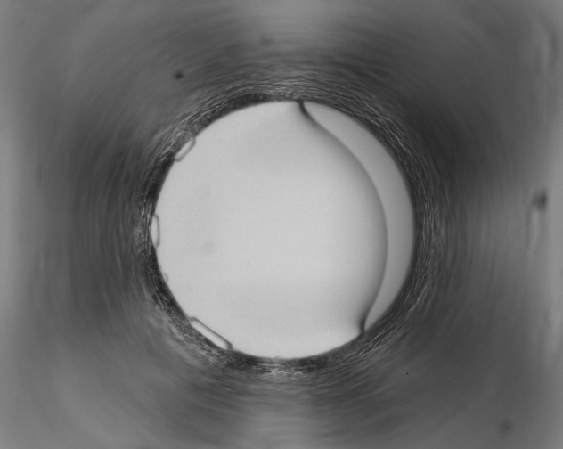 X0000114630601200912011026