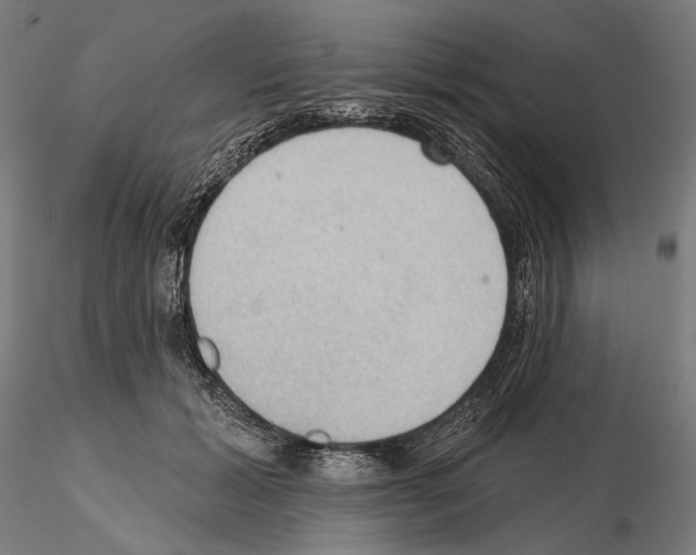 X0000114630605200912011026