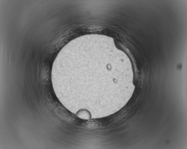 X0000114630608200912011026