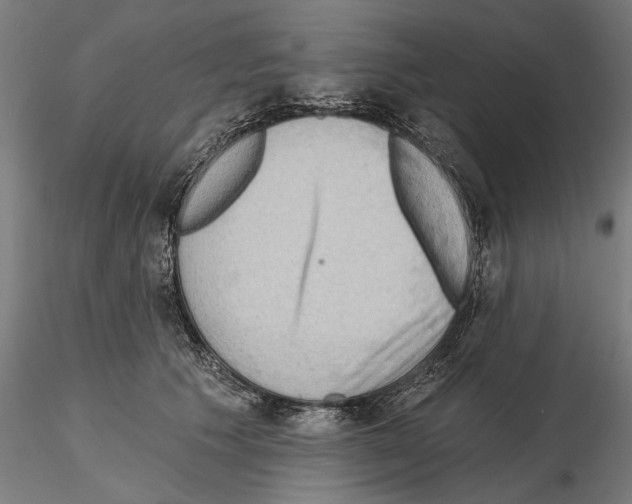 X0000114630609200912011026