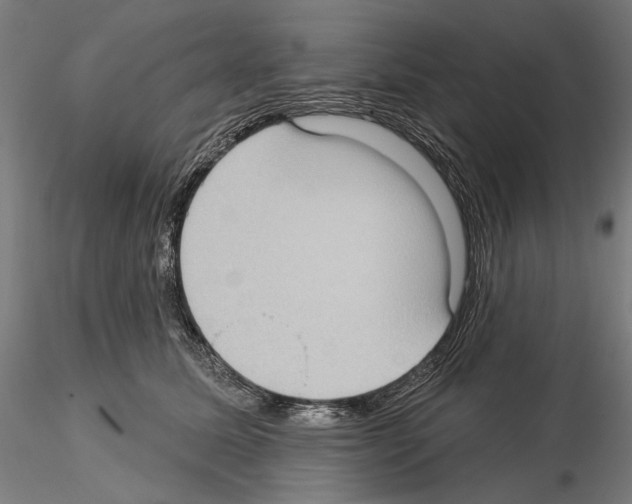 X0000114630611200912011026