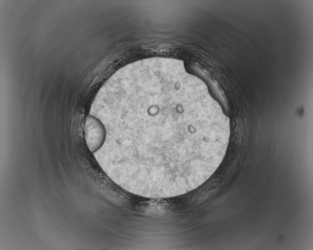 X0000114630612200912011026