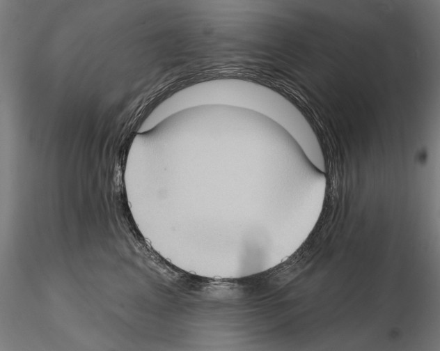 X0000114630617200912011026