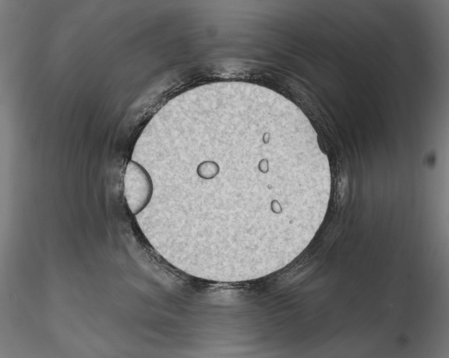 X0000114630620200912011026