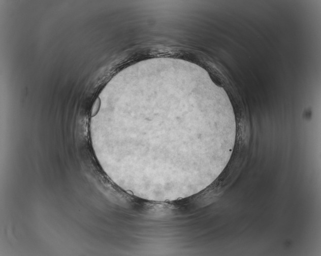 X0000114630621200912011026