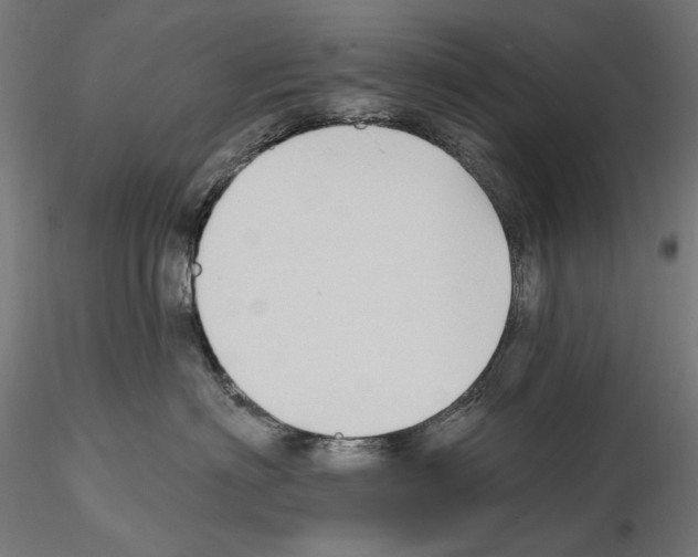 X0000114630622200912011026