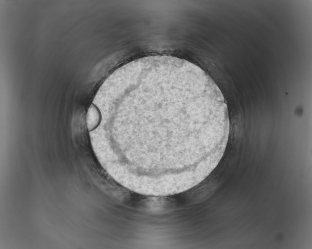 X0000114630623200912011026