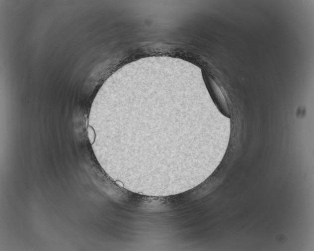 X0000114630624200912011026