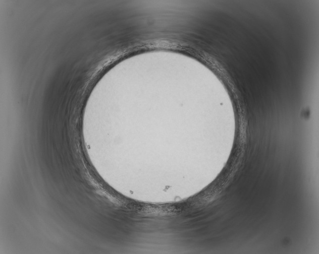 X0000114630625200912011025