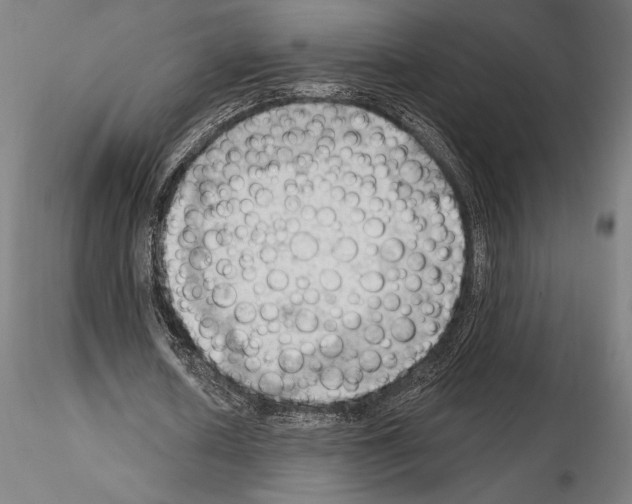 X0000114630626200912011025