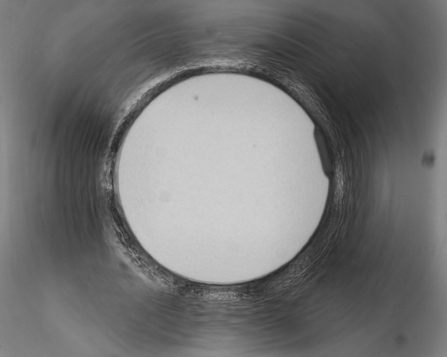 X0000114630628200912011025