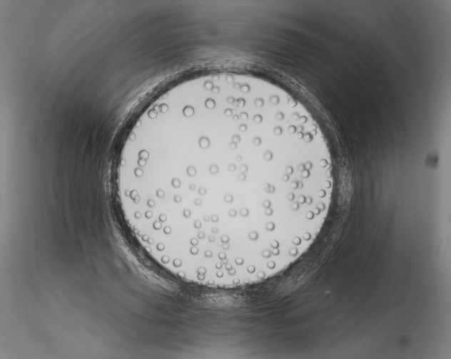 X0000114630629200912011025