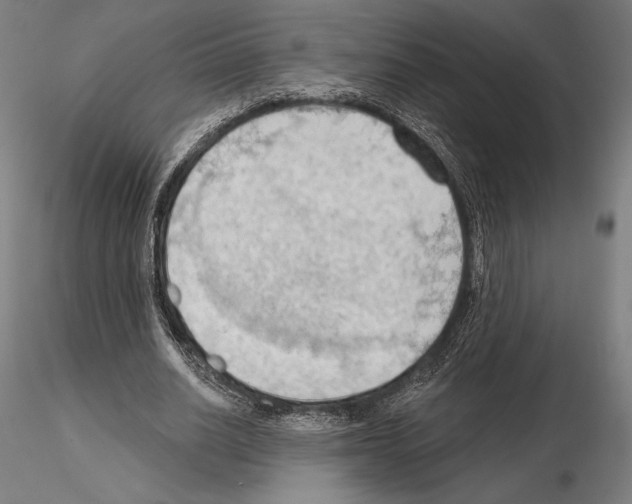 X0000114630630200912011025