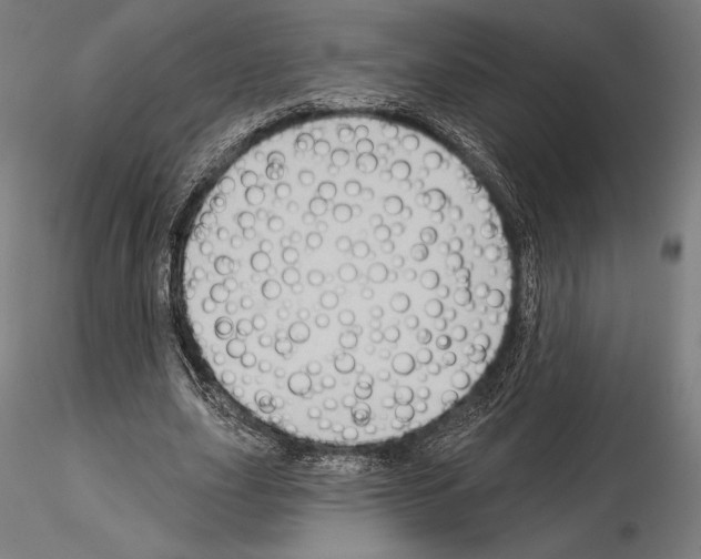 X0000114630631200912011025