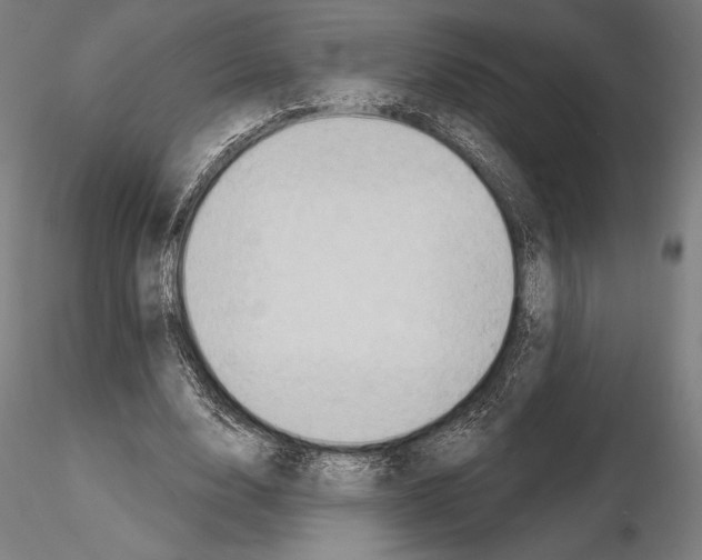 X0000114630632200912011025