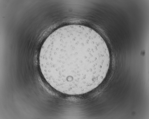 X0000114630633200912011025