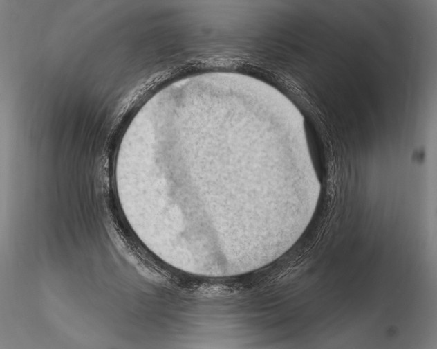 X0000114630634200912011025