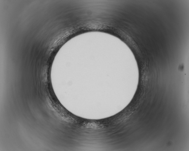 X0000114630635200912011025