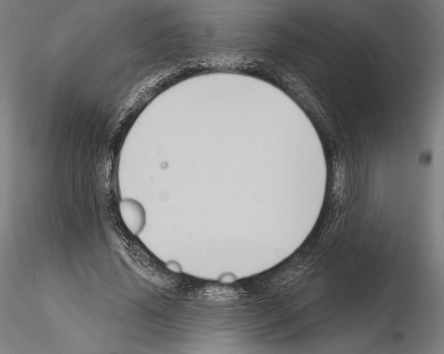 X0000114630636200912011025