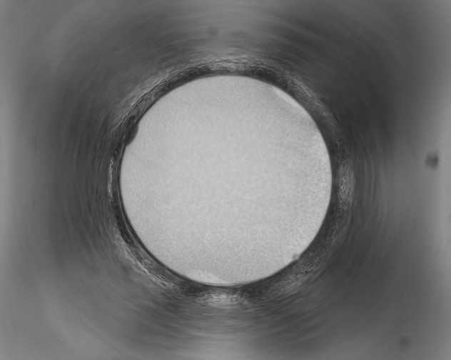 X0000114630637200912011025